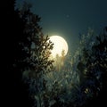 Captivating shot of full moon rising amidst lush green plants