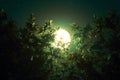 Captivating shot of full moon rising amidst lush green plants