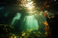 A captivating shot of sunlight filtering through the dense kelp canopy underwater, creating mesmerizing patterns of light and