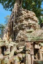 A captivating sight for tourists: the deteriorating stone tower of the Ta Prohm temple complex, a symbol of ancient Khmer