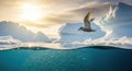 Arctic Tern Flying Over Icebergs and School of Fish in Crystal Clear Waters Royalty Free Stock Photo