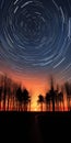 Captivating Star Trail Photography: Time-lapse Sky Above Trees Royalty Free Stock Photo