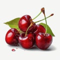Pure Elegance Cherries on a Blank White Background Royalty Free Stock Photo