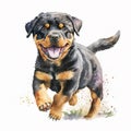 Running Fun in garden Energetic Rottweiler in Watercolor Generated AI