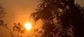 Bright sunset sunburst, tree branches, silhouette, vibrant colors, atmospheric, nature, copy space Royalty Free Stock Photo