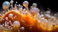 Captivating Super Macro: Absorption of Soap Foam Royalty Free Stock Photo