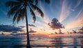 Captivating Timelapse Silhouette of Coconut Palm Trees in the Breathtaking Sunset Sky over the Sea Royalty Free Stock Photo