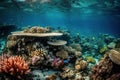 A captivating underwater shot of vibrant coral reefs.