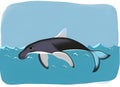 Dynamic Black and White Dolphin Leap - Vector Illustration