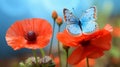 Captivating Visual Storytelling: A Tiny Blue Butterfly On A Poppy Flower