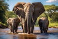 Serenity at Sunrise: African Elephants Drinking in the Mara River