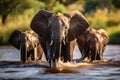 Serenity at Sunrise: African Elephants Drinking in the Mara River