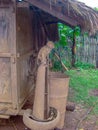 Captive pet monkey tied up to cluster bomb casing