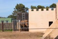 Captive Sorrow: Elephant Behind Bars