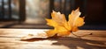 Nature\'s Perfect Palette: A Vibrant Fall Leaf on a Sunlit Table