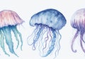 Capture the Beauty of a Jellyfish in Watercolor Illustration: A Medusa Painting on a White Background.