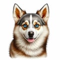 Realistic Siberian Husky Puppy Dog Portrait: Lifelike Canine Art.