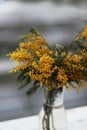 Whispers of Spring: Mimosa Magic