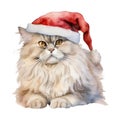 Persian Longhair Cat Christmas watercolor