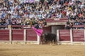 Capture of the figure of a brave bull in a bullfight going out o