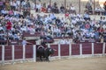Capture of the figure of a brave bull in a bullfight going out o