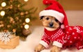 Festive Yorkie: Adorable Christmas-Clad Puppy Portrait