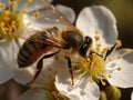 A close-up of a bee pollinating a flower created with Generative AI