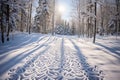 Ski Trail Patterns - Generative AI