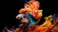 Capture the moving moment of red-blue siamese fighting fish isolated on black background. Betta fish. Generative AI