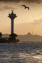 A seagull above the Bosphorus Royalty Free Stock Photo