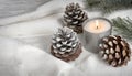 Winter\'s Elegance: Frost-Covered Pine Cones and Candlelight
