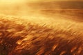 Capture the serene beauty of a wheat field as it elegantly dances with the wind in this captivating landscape photograph, A gush