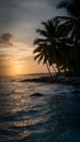 Capture the serenity of a tropical coastline at sunset