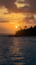 Capture the serenity of a tropical coastline at sunset