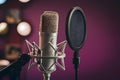 Capture Studio condenser microphone close up with pop filter and mount Royalty Free Stock Photo