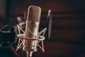 Capture Studio condenser microphone close up with pop filter and mount Royalty Free Stock Photo