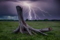 Capture Tree trunk damaged after storm with lightning, nature aftermath photo