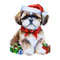 Shih Tzu Christmas puppy watercolor