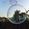 Captured in a bubble life garden summer Royalty Free Stock Photo