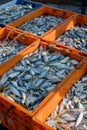 Captured fishes filled in crates to sell. Used selective focus