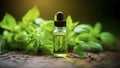 Captured in this image is a charming bottle of liquid stevia with vibrant stevia fresh leaves