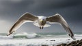 Captured in mid-flight against a dramatic backdrop of a stormy sky and ocean Royalty Free Stock Photo