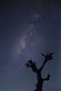 Captured milky way in the night sky