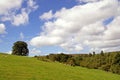 Pastureland in Fewston, in the Yorkshire Dales, England.