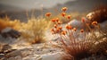 Capturing The Beauty Of Desert: Orange Flowers In Mandy Disher Style