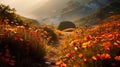 Capturing The Beauty Of Fall: Orange Poppies In Backlit Mountain Trail