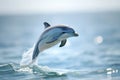 Capturing the elegance of a dolphin jumping out of the water in the ocean. one of jumping dolphins,beautiful seascape with deep Royalty Free Stock Photo