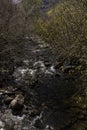 Untamed Beauty: Capturing the Raw Majesty of a Mountainous Wild River in Cantabria