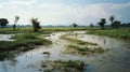 Capturing The Serene Wetlands Of Thailand Through Analog Film Photography