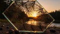Sunset Reflection in Glass Frame with Pine Needles at the Waterside. Royalty Free Stock Photo